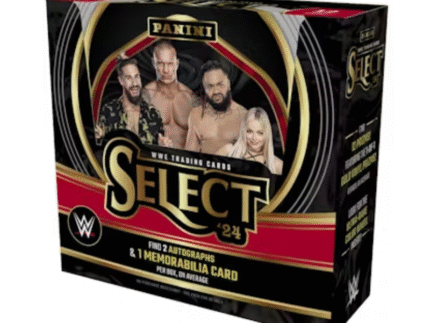 2024 Panini Select WWE Hobby Box